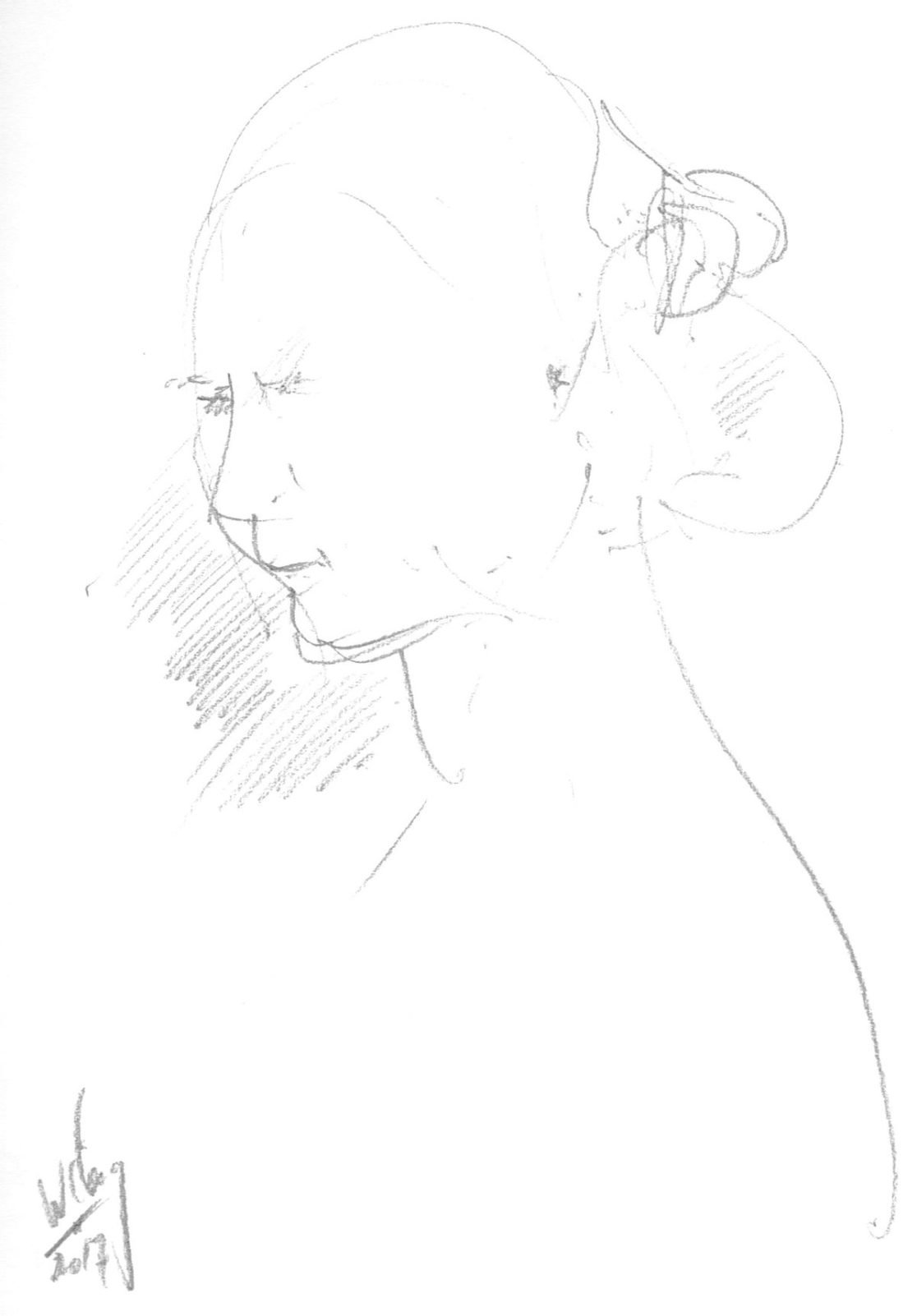 Drawing Wilag Kater pencil on paper w297xh210mm