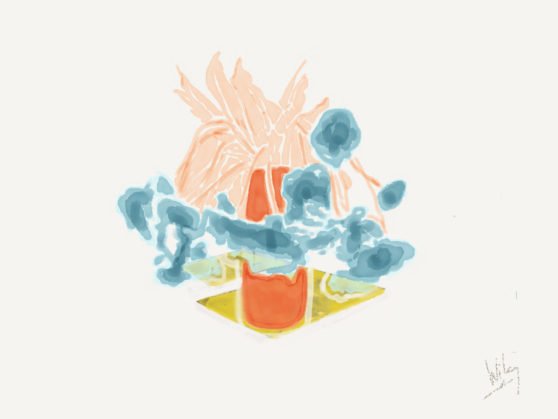 WILAG KATER still-life digital studies